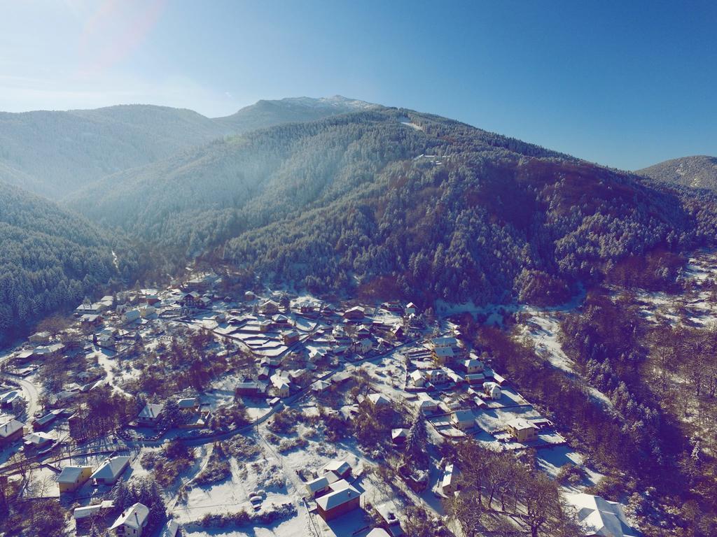 The Green Apartments Magarevo Εξωτερικό φωτογραφία